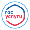 Мошенники придумали новый способ похищения данных на госуслугах